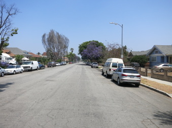 Enlarge photo 46