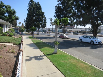 Enlarge photo 29