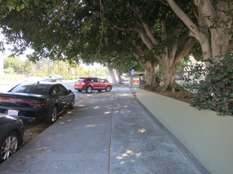 Enlarge photo 15