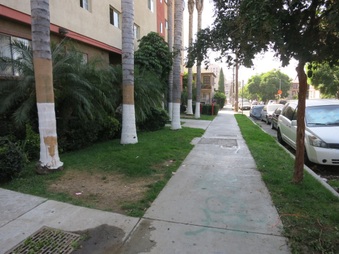 Enlarge photo 14