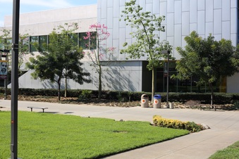 Enlarge photo 33