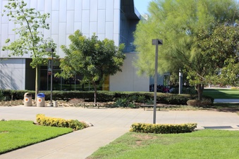 Enlarge photo 34