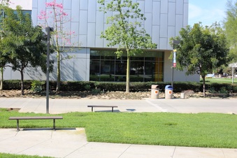 Enlarge photo 38