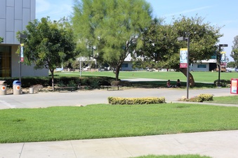 Enlarge photo 39