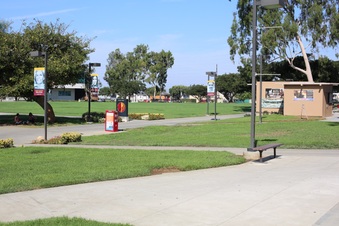 Enlarge photo 40