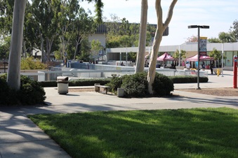 Enlarge photo 41