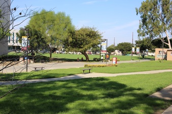 Enlarge photo 47