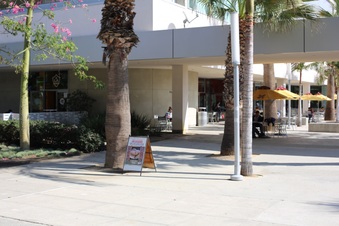 Enlarge photo 96
