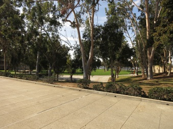 Enlarge photo 102