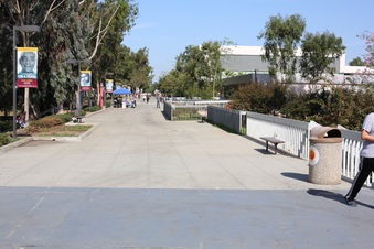 Enlarge photo 127