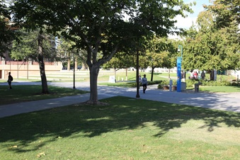 Enlarge photo 12
