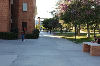 Enlarge photo 29