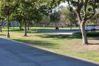 Enlarge photo 53