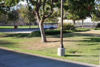 Enlarge photo 54