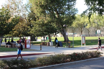 Enlarge photo 82