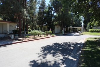 Enlarge photo 105