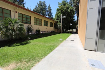 Enlarge photo 117