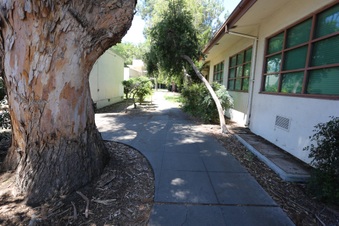 Enlarge photo 129