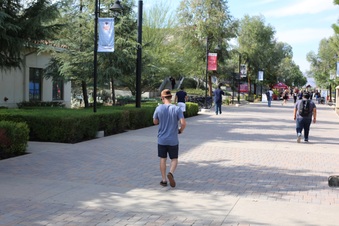 Enlarge photo 15