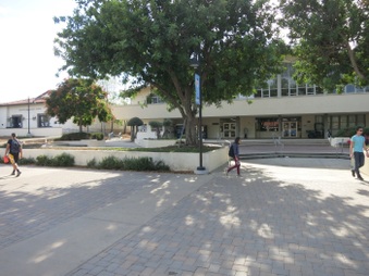 Enlarge photo 31