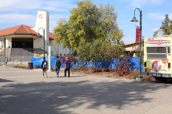 Enlarge photo 42
