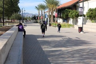 Enlarge photo 53