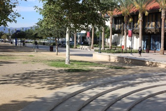 Enlarge photo 61