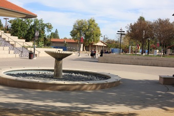Enlarge photo 63