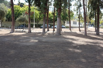Enlarge photo 71