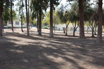 Enlarge photo 72
