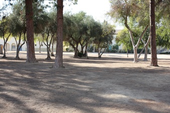 Enlarge photo 73