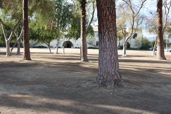 Enlarge photo 74