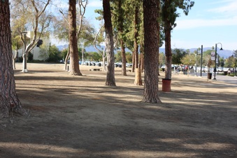 Enlarge photo 75
