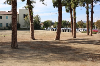 Enlarge photo 85
