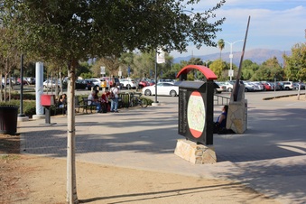 Enlarge photo 87