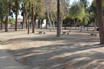 Enlarge photo 94