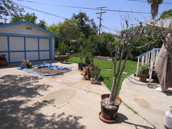 Enlarge photo 16
