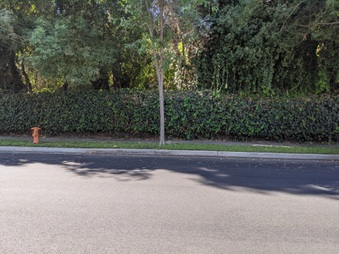 Enlarge photo 8