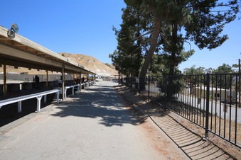 Enlarge photo 33