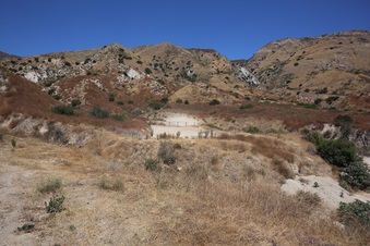 Enlarge photo 62
