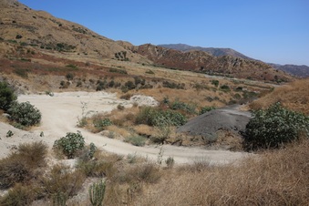 Enlarge photo 69