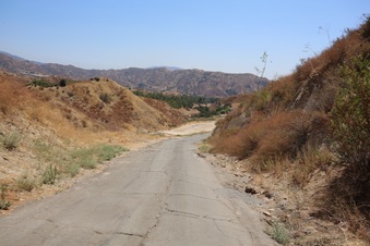 Enlarge photo 70