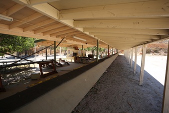 Enlarge photo 75