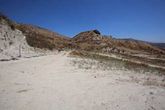 Enlarge photo 85