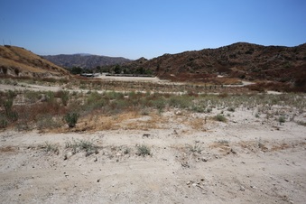 Enlarge photo 87