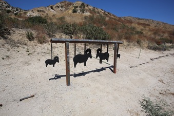 Enlarge photo 88