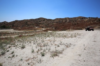 Enlarge photo 89