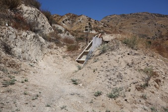 Enlarge photo 91