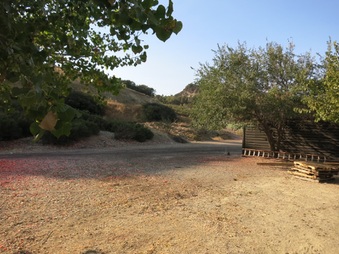 Enlarge photo 61