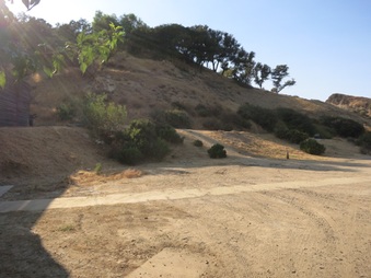 Enlarge photo 64
